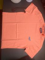 T-shirts Superdry, Ophalen, Gedragen, Maat 46 (S) of kleiner, SuperDry