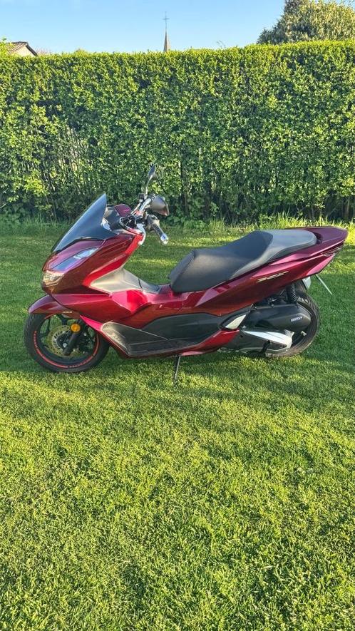 Maxiscooter HONDA PCX 125 ABS 2021, Motoren, Motoren | Honda, Particulier, Scooter, 1 cilinder, Ophalen