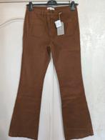 Nieuwe broek Springfield 44, Vêtements | Femmes, Culottes & Pantalons, Enlèvement ou Envoi