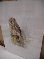 lot kleine schilderijen, Antiek en Kunst, Ophalen