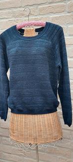Trui maat xl bien bleu glinstering in stof, Kleding | Dames, Ophalen of Verzenden, Zo goed als nieuw, Maat 46/48 (XL) of groter