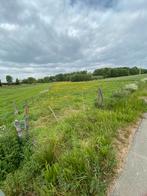 Weide te koop 10890m2 Aalstersesteenweg Smeerebbe Vloerzegem, Immo, Gronden en Bouwgronden, 9500 Geraardsbergen, Verkoop zonder makelaar