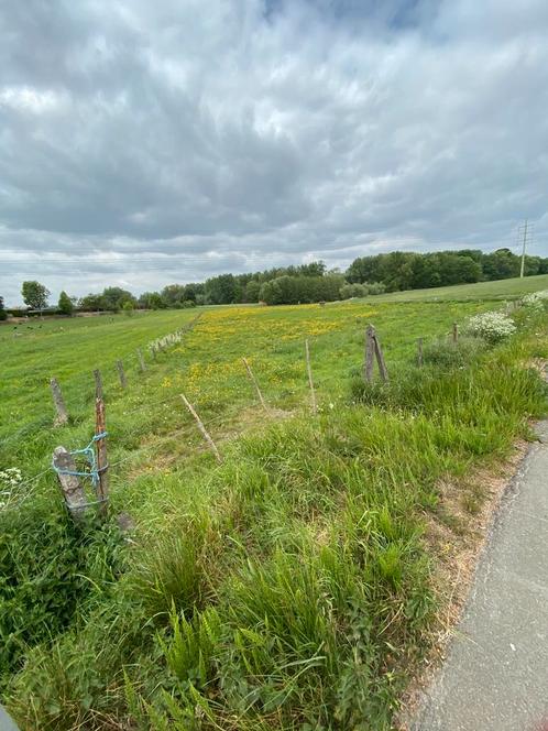 Weide te koop 10890m2 Aalstersesteenweg Smeerebbe Vloerzegem, Immo, Gronden en Bouwgronden, 1500 m² of meer, Verkoop zonder makelaar