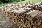 bois de chauffage sec, Ophalen, Berkenhout