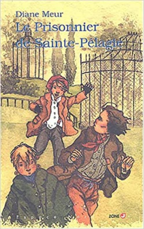 "Le Prisonnier de Sainte-Pélagie" Diane Meur (2003) NEUF !, Livres, Livres pour enfants | Jeunesse | 10 à 12 ans, Neuf, Fiction