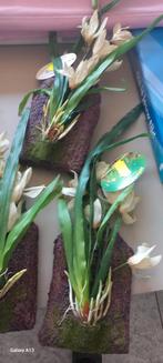 Lucky reptile hanging orchid white 20x30cm, Dieren en Toebehoren, Ophalen of Verzenden, Nieuw, Tak, Plant, Rots of Steen