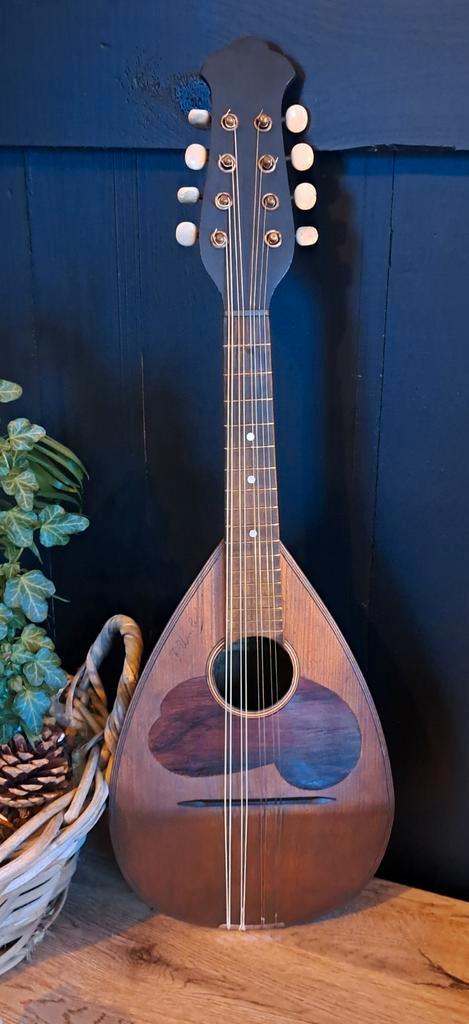 MANDOLINE NAPOLITAINE FRATELLI UMBERTO, Muziek en Instrumenten, Snaarinstrumenten | Mandolines, Gebruikt, Ophalen