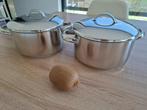 2 kookpotten Demeyere diam 19cm hoogte 10cm, Huis en Inrichting, Ophalen of Verzenden, Zo goed als nieuw, Kookpan of Snelkookpan