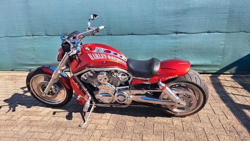 Harley Davidson v rod, Motoren, Motoren | Harley-Davidson, Particulier, Ophalen