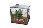 Superfish aquarium wit 60L, Dieren en Toebehoren, Ophalen, Zo goed als nieuw, Leeg aquarium