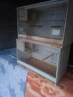 Kweekkooi met nestkastje, Dieren en Toebehoren, Vogels | Hokken en Kooien, Ophalen, Gebruikt