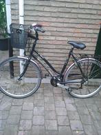 damesfiets gazelle 28 inch met mandje, Ophalen, 28 inch, 53 tot 56 cm, Zo goed als nieuw