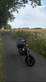 Opzoek naar gratis zip/ runners !ZIE OMSCRIJVING, Fietsen en Brommers, Scooters | Piaggio, Ophalen, Zo goed als nieuw