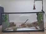 Terrarium met accessoires, Ophalen, Zo goed als nieuw, Terrarium of Paludarium