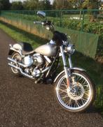 Harley-Davidson 1450 twincam, bwj. 2001, carbu, softailframe, Motoren