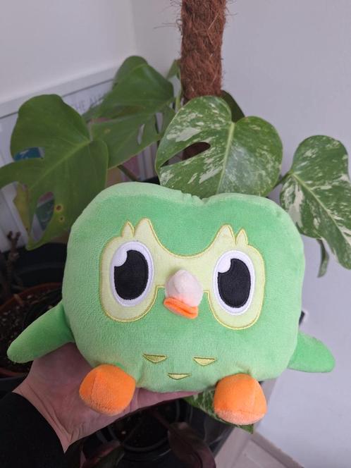 Duolingo | Duo Knuffel | Nieuw, Kinderen en Baby's, Speelgoed | Knuffels en Pluche, Nieuw, Ophalen of Verzenden