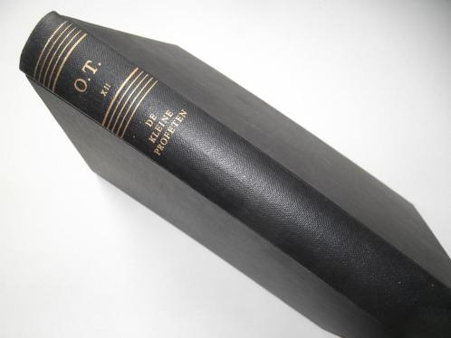 De kleine profeten uit de grondtekst vertaald en uitgelegd, Boeken, Godsdienst en Theologie, Zo goed als nieuw, Christendom | Katholiek