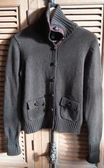 Prachtig vest medium Ralph Lauren., Kleding | Dames, Ophalen of Verzenden, Zo goed als nieuw, Maat 38/40 (M)