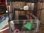 Gerbil kooi met verdieping nieuwe staat, Dieren en Toebehoren, Kooi, Minder dan 75 cm, Zo goed als nieuw, Hamster