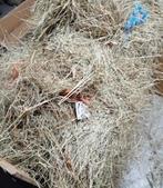 16 baaltjes weide hooi, Dieren en Toebehoren, Ophalen
