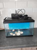 Vis aquarium, Dieren en Toebehoren, Ophalen of Verzenden, Zo goed als nieuw