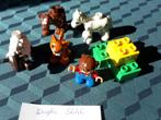 EGO Duplo complete set 5646, Dierenverzorging, 9 stukjes, Kinderen en Baby's, Speelgoed | Duplo en Lego, Complete set, Duplo, Ophalen of Verzenden