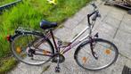 Oma's fiets Italianse - Paars-Grijs,28 inch - Perfecte staat, 47 tot 50 cm, Ophalen, Gebruikt, Handrem