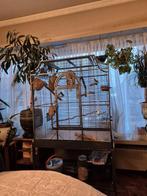 Te koop, Dieren en Toebehoren