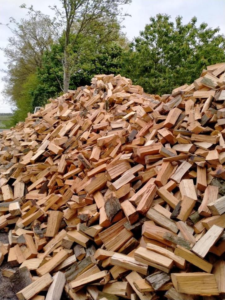 Eik mix ( eik, beik, es, berk) droog, gelijk te stoken, Jardin & Terrasse, Plantes | Arbres, Enlèvement ou Envoi