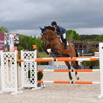 zadelmak maken en trainen van paarden