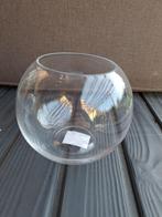 Vaas, Ophalen, Nieuw, Glas, Minder dan 50 cm