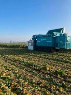 seizoenspacht spruitkool 2026, Zakelijke goederen, Landbouw | Onroerend goed, Ophalen of Verzenden