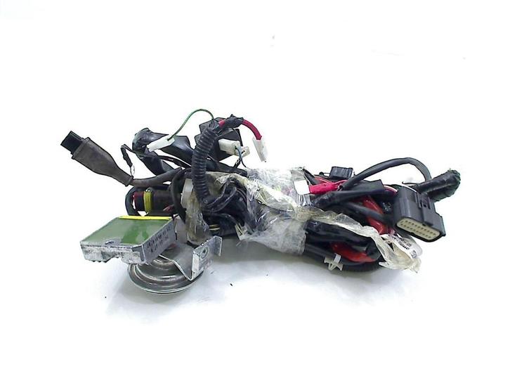 FAISCEAU DE CÂBLAGE DIVERS Piaggio (1D000150), Vélos & Vélomoteurs, Pièces de cyclomoteur | Général, Utilisé, Autres types