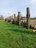 brandhout, Tuin en Terras, Blokken, Ophalen, 6 m³ of meer, Overige houtsoorten