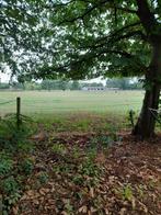 Recreatie grond te koop in Oosterwijk ( Westerlo), Immo, 2260 Westerlo, Verkoop zonder makelaar, 500 tot 1000 m²