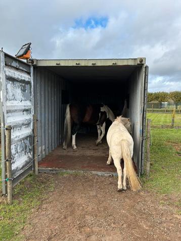 Paardenstal 20ft container. beschikbaar voor biedingen