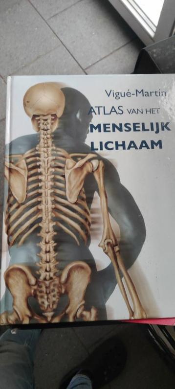 Het menselijk lichaam beschikbaar voor biedingen