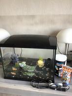 Aquarium met toebehoren €35 ,axolotl €10 ., Dieren en Toebehoren, Ophalen, Zo goed als nieuw