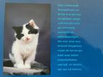 Livre sur les chats, Livres, Animaux & Animaux domestiques, Comme neuf, Chats, Enlèvement