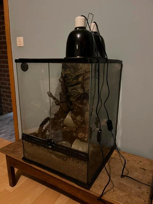 Terrarium EXO TERRA 45x45x60cm, Dieren en Toebehoren, Reptielen en Amfibieën | Toebehoren, Gebruikt, Ophalen