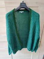 Splinternieuwe Cardigan Millennium TU, Vêtements | Femmes, Pulls & Gilets, Enlèvement ou Envoi, Comme neuf