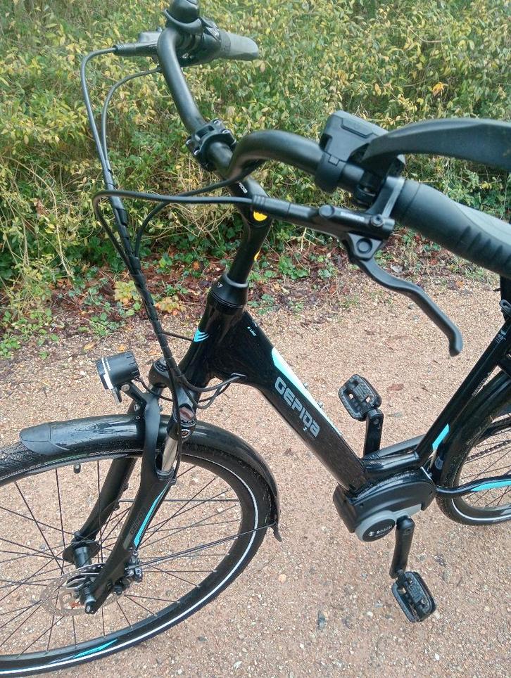 Gepida Reptilia 1000 Z.G.A.N 150km op teller, Fietsen en Brommers, Elektrische fietsen, Zo goed als nieuw, Overige merken, 47 tot 51 cm