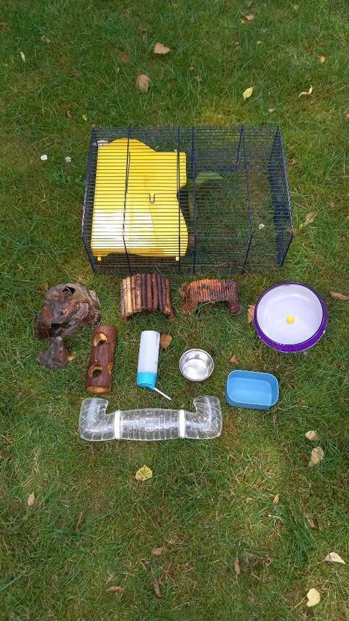 Hamster toebehoren, Dieren en Toebehoren, Knaagdieren en Konijnen | Hokken en Kooien, Gebruikt, Kooi, Minder dan 60 cm, Minder dan 75 cm