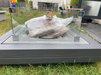 Vuurtafel merk life, Tuin en Terras, Ophalen, Nieuw