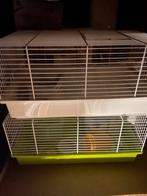 2 hamsterkooien met toebehoren, Dieren en Toebehoren, Kooi, Hamster, Minder dan 75 cm, Minder dan 60 cm