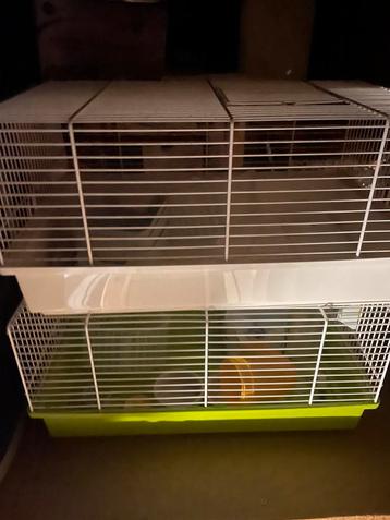 2 hamsterkooien met toebehoren