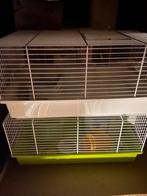 2 hamsterkooien met toebehoren, Kooi, Hamster, Minder dan 75 cm, Minder dan 60 cm