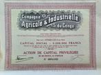 Compagnie Agricole & Industrielle du Congo - Kitomesa Lufu, Postzegels en Munten, Aandelen en Waardepapieren, Ophalen of Verzenden