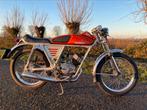 Testi Champion gitane oldtimer brommer 50 sport italiaans s, Fietsen en Brommers, 49 cc, Klasse B (45 km/u), 4 versnellingen, Ophalen