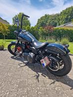 Harley Davidson Dyna Streetbob, Motoren, Motoren | Harley-Davidson, Particulier